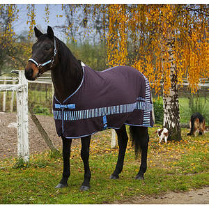 Chemise en robuste coton canvas, décorée de deux bandes croisées à rayures bicolores. Elle est équipée d'une fermeture de poitrail par boucle fixée sur un sanglon et de sursangles croisées basses en polypropylène, d'un pad de garrot en mouton synthétique et d'une courroie de queue. Liseré bicolore assorti au motif rayé. Bouclerie en acier chromé poli. 