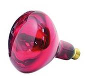 Ampoule pour le chauffage des poussins durant les 3 premières semaines
Couleur : rouge
Modèle 250 W : pour 60 poussins 