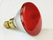 Ampoule PAR 175 Watts
Pour 40 poussins
Verre 3 fois plus épais que des ampoules standard
Plus solide et rendement plus élevé (+ 30%)
