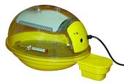 COUVEUSE SMART REPTILE

Couveuse spécialement conçue pour les oeufs de reptiles et de tortues. 
Couveuse fabriquée en plastique avec couvercle transparent pour visualiser facilement vos oeufs. 
Couveuse équipée d'un thermostat électronique précis qui contrôle un petit chauffage afin d’obtenir les meilleurs résultats d’éclosion. 
Hygrométrie grâce au double fond de la couveuse. Grille pour poser les oeufs et thermomètre pour le contrôle de la température de la couveuse

Capacité de la couveuse :
	
12 à 25 oeufs de tortue selon l’espèce 

Puissance de la couveuse : 100 W - 220 Volts
Dimensions de la couveuse : 40 x 33 x 26 cm
Poids de la couveuse : 2,4 kg

