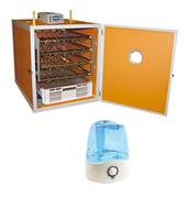 Couveuse MG200-300 Digitale avec humidification automatique

La couveuse MG200-300 Digitale livrée avec l'humidification automatique, il vous suffit de raccorder l'humidificateur à la connexion électrique prémontée sur votre couveuse et brancher le tuyau pour envoyer l'humidité

Couveuse en panneaux bois et cornières  aluminium équipée d’une porte avec hublot pour visualiser l’intérieur de la couveuse. 
Equipée de 4 tiroirs d’incubation (200 oeufs) et 1 panier d’éclosion (100 oeufs). 
Hygrométrie réglable grâce au bac à eau fourni. 
Chauffage par résistance de 200 Watts et ventilateur réglable qui assure une bonne répartition de la chaleur. 
Retournement automatique des oeufs

Contrôleur digital qui permet les fonctions suivantes :

- Lecture et programmation de la température
- Affichage en °C et °F
- Alarme de température
- Réglage de l’intensité de la ventilation
- Lecture de l’humidité dans la couveuse

En rajoutant l’option Humidificateur par ultrasons, vous pouvez contrôler et programmer l’humidité dans votre couveuse.

Capacité de la couveuse :
	
200 oeufs de poules ou canards en incubation + 100 en éclosion
240 oeufs de faisans ou pintades + 80 en éclosion
900 oeufs de cailles ou perdrix grises + 200 en éclosion
48 oeufs d’oies ou dindes + 21 en éclosion

Puissance : 250 W - 220 Volts
Dimensions : 52 x 77 x 62 cm - Poids : 40 kg

Caractéristiques de l'humidificateur :
Humidificateur à ultrasons pour couveuses FIEM
Cet humidificateur est spécialement équipé pour s'adapter sur les couveuses COSMO EVO, MG140-200 Digitale et MG200-300 Digitale.
Vous avez simplement besoin de le connecter à la couveuse à l'aide de l'adaptateur fourni et vous pourrez ainsi programmer votre taux d'humidité dans la couveuse.
La régultaion se fera automatiquement selon le taux d'humidité programmé, vous aurez donc un système d'humidification automatique à un prix très attractif.

L'humidificateur pour couveuse est équipé d'un tuyau flexible de 21 mm de diamètre - Longueur : 120 cm
Capacité du réservoir de l'humidificateur pour couveuse: 3 litres
Puissance de l'humidificateur pour couveuse : 30 Watts
L'humidificateur pour couveuse fonctionne en 220 Volts

Conseil : Utiliser de l'eau déminéralisée ou de l'eau en bouteille pour éviter la formation de calcaire qui endommage l'appareil