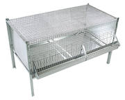 Cages pour Poussins
Livrée avec abreuvoir, mangeoire et plateau pour déjections
Dimensions : 100 x 50 cm
Hauteur totale : 60 cm
Hauteur de la cage : 35 cm