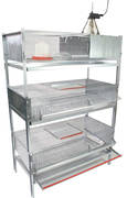 L'idéal pour votre petit élevage de cailles
Composée d’une cage de démarrage équipée d’un protecteur infrarouge et ampoule IR 150 Watts, 
d’une cage caille engraissement et d’une cage cailles pondeuses.
Ces 3 cages sont équipées d'une mangeoire et d'un abreuvoir linéaire, ainsi que d'une plaque pour les déjections qui facilite le nettoyage.