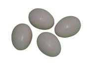 Oeufs de pigeon en plastique
Vendu en lot de 25 soit 0,12 € l'unité