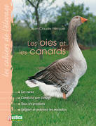 Les cahiers de l’élevage : les oies et les canards
J-C Périquet
120 pages - 2004

Depuis toujours, l'homme élève des oies et des canards, tant pour l'alimentation que pour leur caractère esthétique.
Mais ces oiseaux palmipèdes demandent des soins bien spécifiques. 
Ce livre aborde ainsi toutes les notions indispensables pour créer et conduire ce type d'élevage : le choix des races, l'alimentation, le logement, la reproduction et l'élevage des jeunes, la prévention et le traitement des maladies...


Au sommaire : L'origine - L'anatomie - Les races (Les oies, Les canards) - La conduite de l'élevage - Les maladies et leurs traitements - Les productions - Carnet d'adresses.
