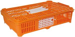 Caisse de transport Cailles / Pigeons
Hauteur 15 cm. 1 porte sur le dessus (20x15) et 1 porte latérale (16x9 cm)
Dimensions de la caisse cailles : 67x47x15 cm

Couleur de la caisse cailles : Orange