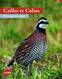 livres - cailles et colins