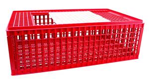 caisse de transport volailles