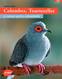 livres - colombes tourterelles
