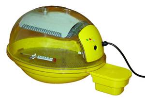 couveuse smart reptile