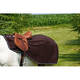 TEXTILE CHEVAL - couvre-reins