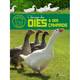 livres - elevage facile l'elevage des oies et des canards