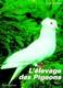 livres - l'elevage des pigeons