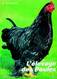 livres - l'elevage moderne des poules
