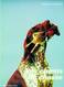 livres - les chiens de chasse
