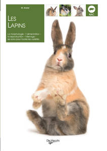 les lapins