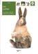 LIVRES - les lapins