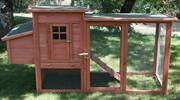 POULAILLER LITTLE FARM
