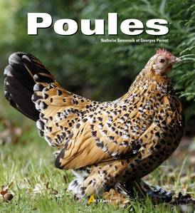 poules