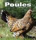 livres - poules