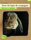 LIVRES - soins du lapin de compagnie