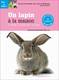 LIVRES - un lapin a la maison