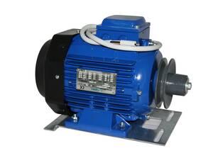 Moteur de rechange pour EM50 HP1,5 3PH non régulable
