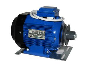 Moteur pour Turbine EM50 Régulable
Puissance : 1,5 HP
