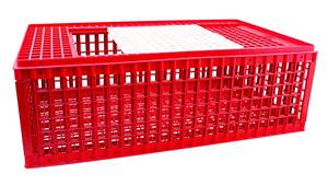 Modèle 29 cm : 14/16 volailles par cage
Dimensions Extérieures: 57 x 95 x Hauteur 29 cm
1 porte coulissante supérieure 39 x 41 cm

Couleur suivant Fabrication : Actuellement : Rouge

Les caisses de transport volailles sont livrées démontées