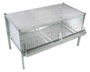 Cages pour Poussins
Livrée avec abreuvoir, mangeoire et plateau pour déjections
Dimensions : 100 x 50 cm
Hauteur totale : 60 cm
Hauteur de la cage : 35 cm

Maille du fond de cage : 19 x 19 mm - Fil de 2 mm