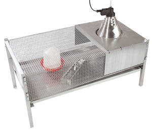 Cage parfaitement conçu pour le démarrage des poussins ou des cailles. 
Ouverture sur le dessus, fermeture par ressort. 
Tiroir pour les déjections. 
Livrée avec une éleveuse électrique, une ampoule infrarige 150 Watts, 1 mangeoire poussins 30 cm galvanisée et 1 abreuvoir siphoïde 1,5 litre.

Dimensions totales : 100 x 50 x 48 cm
Dimensions de la cage : 100 x 50 x 22,5 cm