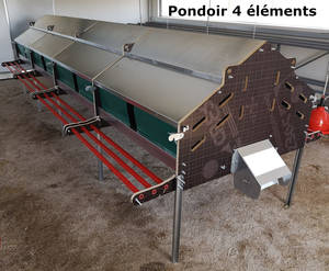 Pondoir central Collectavi 1 élément

Composé de 1 éléments de 1,20 m pour un maximum de 112 poules (112 poules par élément)

Pondoir collectif avec ramassage central semi-automatique.
Vous avez un tapis central de ramassage et une manivelle pour récupérer les oeufs en bout de ligne des pondoirs.
Ce système permet de garder des oeufs propres et évite le piquage des oeufs.

Fond du pondoir en astroturf facile à extraire et à nettoyer

Perchoirs de chaque côté du pondoir, relevables, ce qui permet de fermer l'accès aux pondoirs.

Table de ramassage relevable en bout de ligne pour faciliter le ramassage et éviter le perchage des poules.

Rideaux de chaque côté des pondoirs pour assombrir l'intérieur de vos pondoirs et améliorer la ponte

Parois des pondoirs en bois 18 mm d'épaisseur, le reste de la structure est en acier galvanisé, les 3 perchoirs de chaque côté sont en plastique.
Fond du pondoir avec grillage robuste et astroturf

Dimension totale des 1 éléments : 
Longueur : 1,20 m 
Largeur : 1,20 m (sans compter les perchoirs) - (1,80 m avec les perchoirs)
Hauteur des pieds : 55 cm