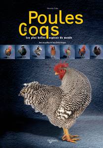 Poules et coqs
185 Pages - 2008
V Zizka
Caractéristiques de gallinacés et conseils d’élevage
Fiches descriptives de 60 races classées par pays
Illustré par de nombreuses photos

