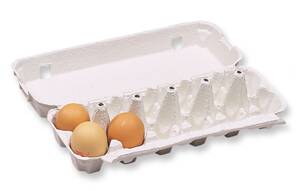ALVEOLES ET BOITES CARTONS - boite de 12 oeufs de poule top