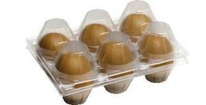 BOITE A OEUFS PLASTIQUE - boites plastique 6 oeufs de poules