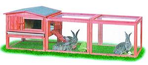 CLAPIER EN BOIS - clapier bunny maxi