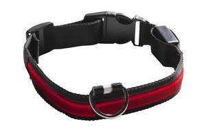 COLLIERS POUR CHIENS LUMINEUX