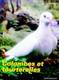 LIVRES SUR LES PIGEONS