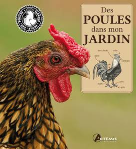 LIVRE SUR LES POULES - des poules dans mon jardin
