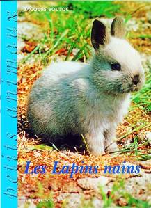 LIVRE SUR LES LAPINS - les lapins nains