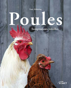 LIVRE SUR LES POULES - poules somptueuses volailles