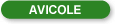 Avicole