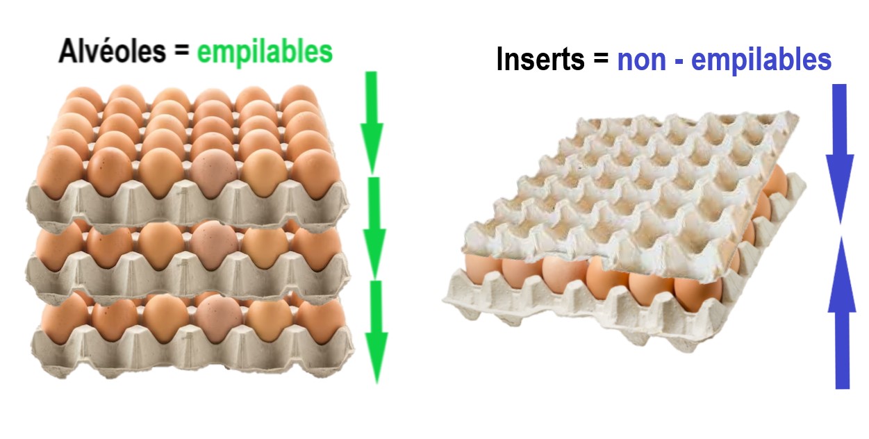 Différence alvéoles et inserts