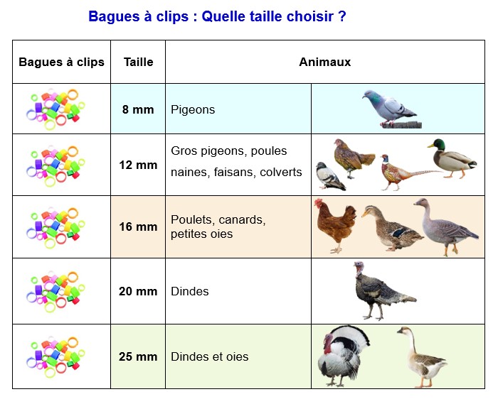 TABLEAU TAILLES DE BAGUES