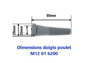 DIMENSION DOIGT POULET