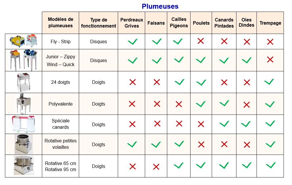 TABLEAU PLUMEUSES